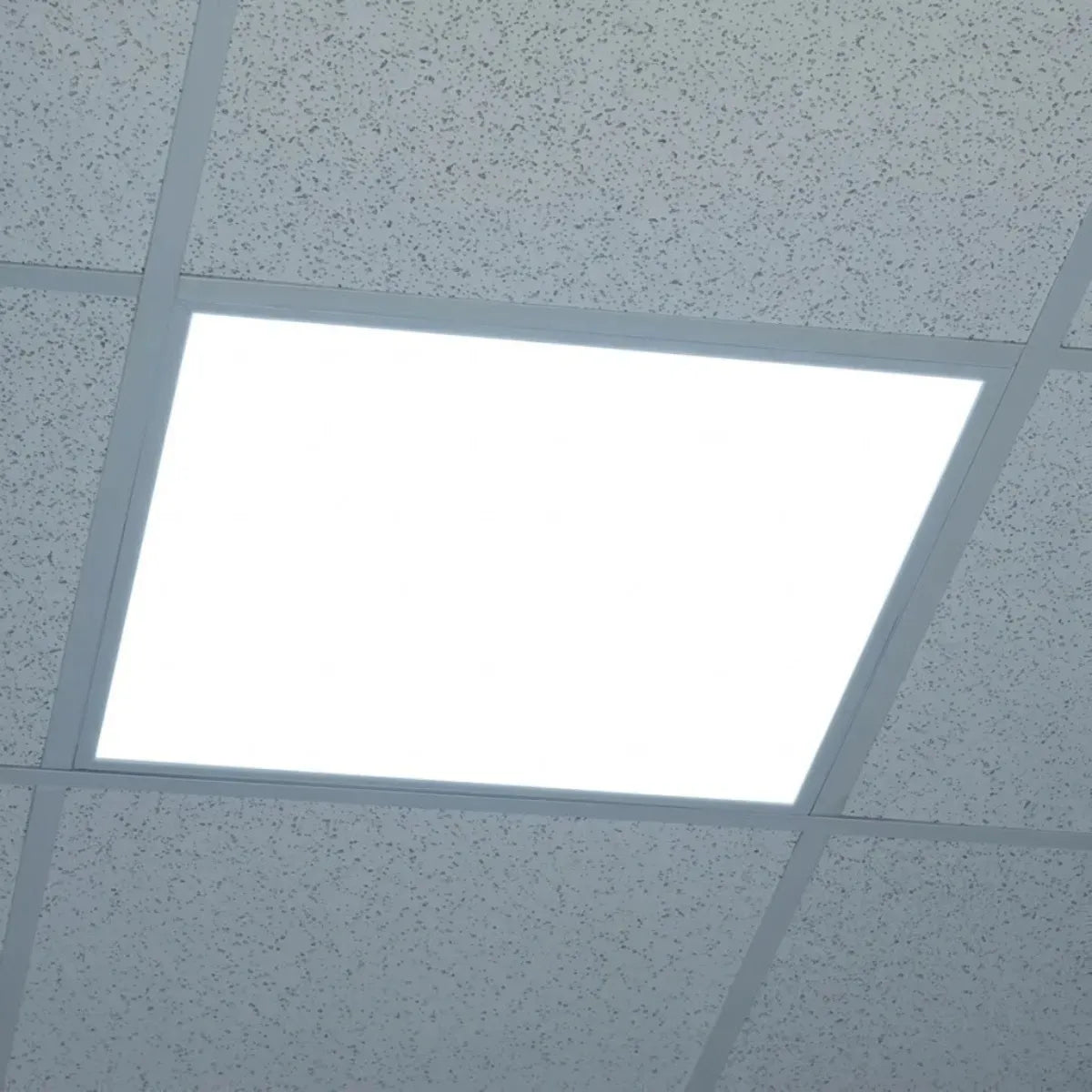 Plafón LED de techo con luz fría de 60cm x 60cm