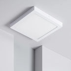Plafon Led 24w Luz Fría Techo