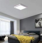 Plafon Led 24w Luz Fría Techo